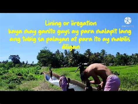 naligo in english|naligo : Binisaya .